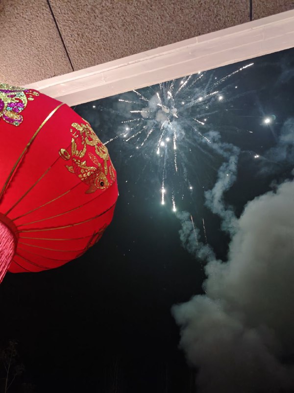 新年快乐！(๑ᵔ⌔ᵔ๑)ﾉ🧨新年快乐！(๑ᵔ⌔ᵔ๑)ﾉ🧨